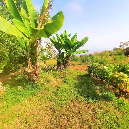 Casa En Finca Ecologica - Wifi La Orotava Luaran gambar